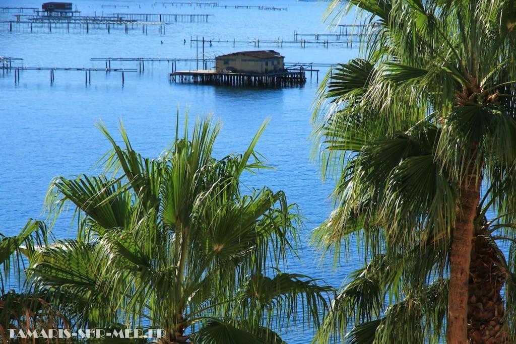 Port Tamaris, Le Troisieme Apartamento La Seyne-sur-Mer Exterior foto